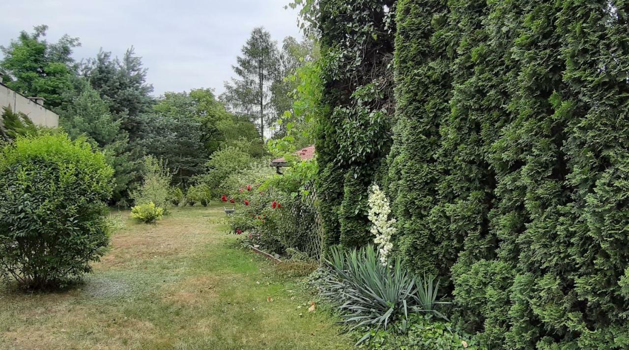 Dom Nad Wisla Villa Czernichow  Ngoại thất bức ảnh